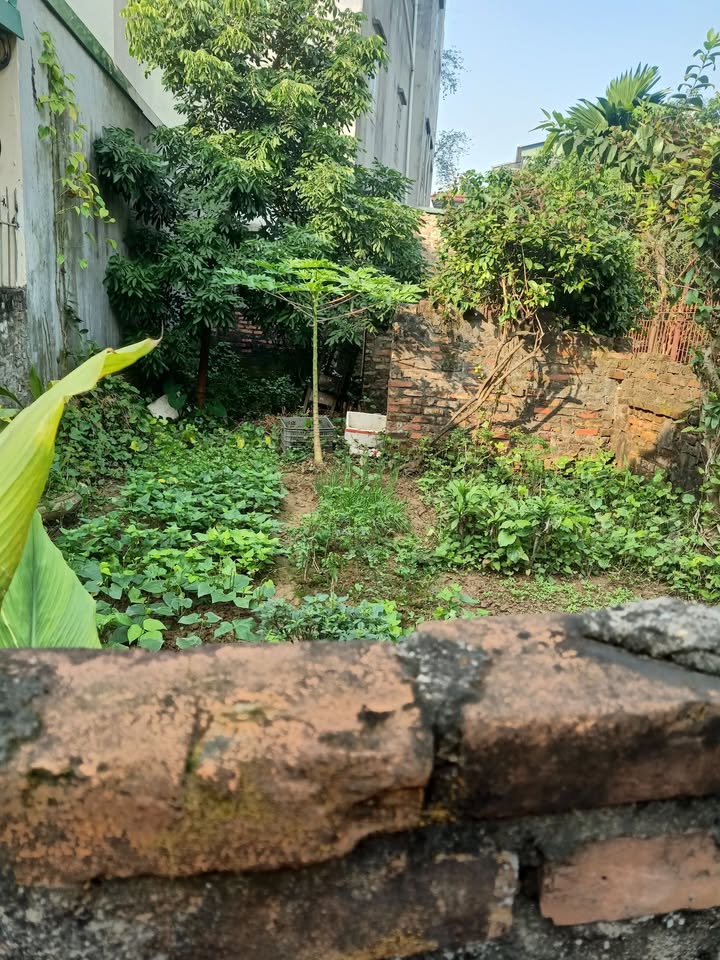 Đất Phú Thượng 100m² giá 14 tỷ - Cơ hội đầu tư tuyệt vời!