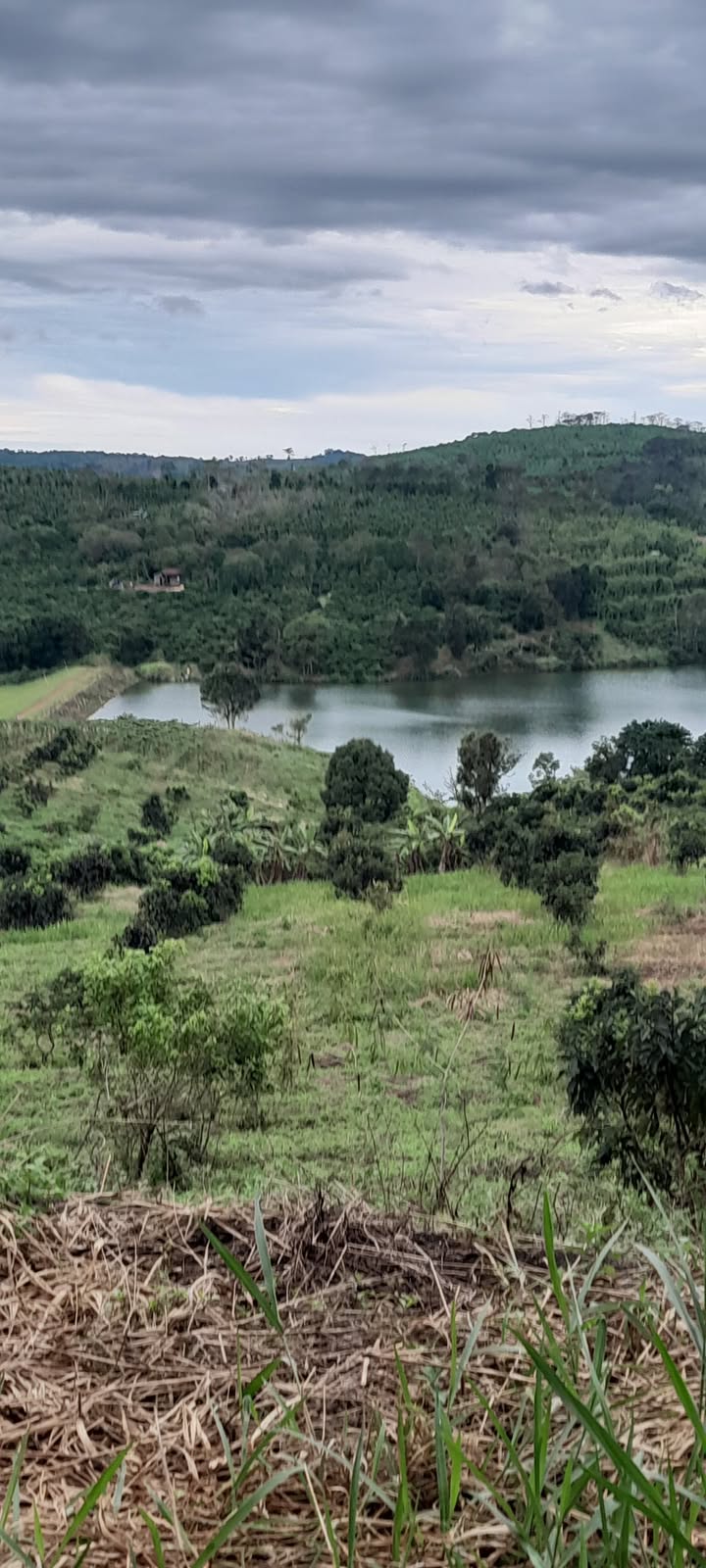 Đất trống 2ha6 tại Quảng Khê Đắk Nông - Giá 1.2 tỷ, thuận tiện đi lại!