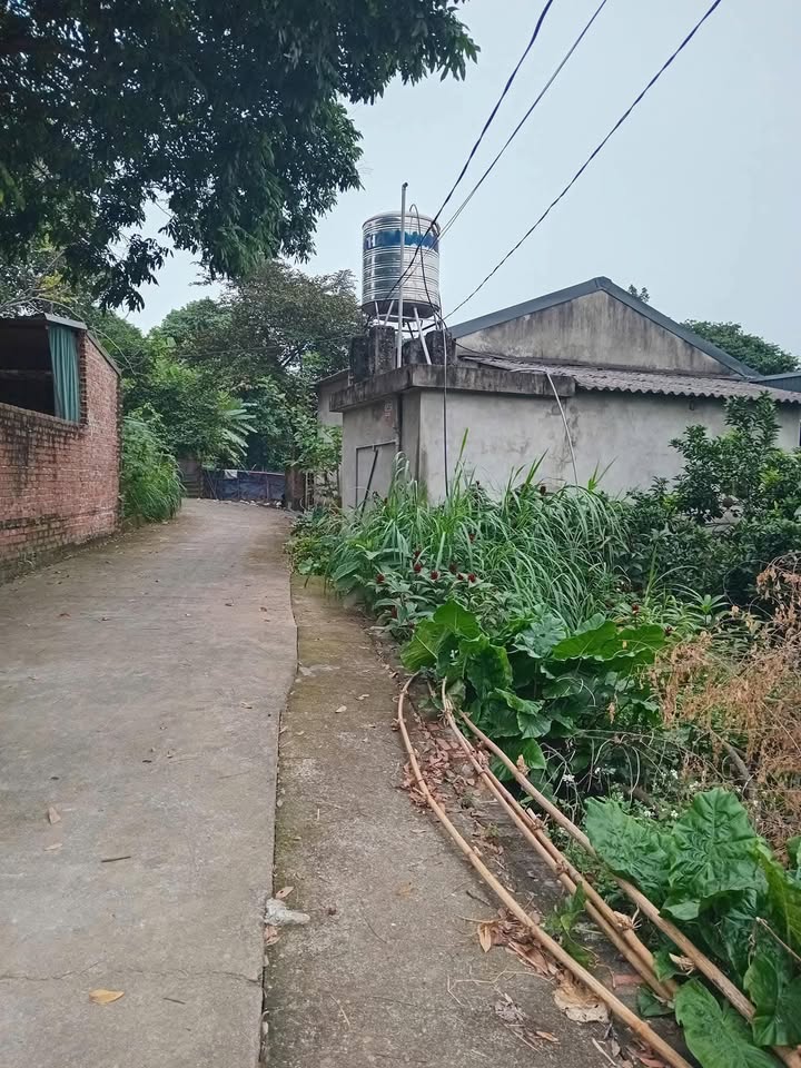 Đất thổ cư Kim Đức 80,8m² giá 1,1 tỷ - Sổ hồng chính chủ, vị trí đẹp!