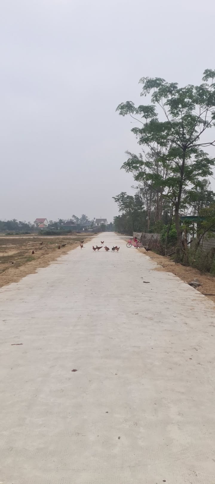 Đất thổ cư Trung Lộc, Nghi Xuân 250m² giá chỉ 900 triệu - Cơ hội đầu tư tuyệt vời!