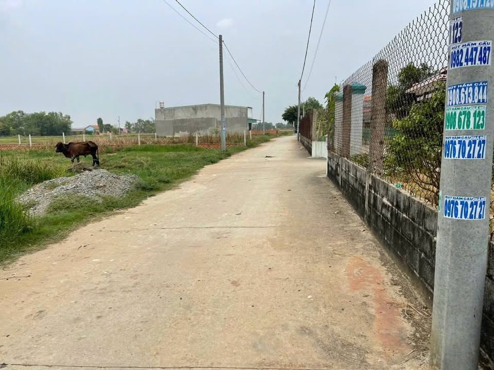 Đất nền Đức Hòa Đông 300m² giá 1.7 tỷ - Đường Bùi Văn Ngọ, 2 mặt tiền