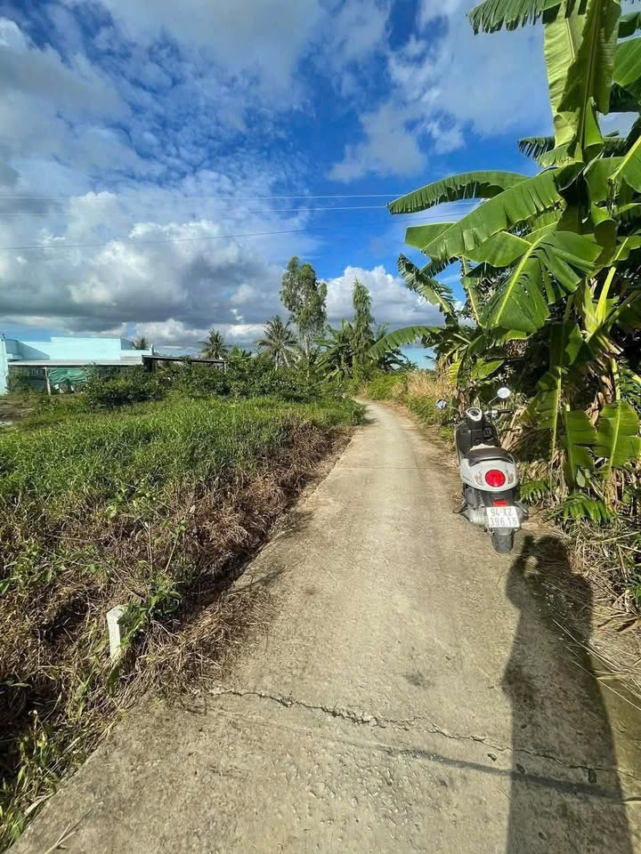 Đất nền Vĩnh Lợi 700m² giá 250 triệu - Sổ hồng chính chủ