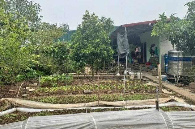 Đất nền Vạn Phúc, Thanh Trì 1200m² giá 14 tỷ - Pháp lý sổ đỏ chính chủ!