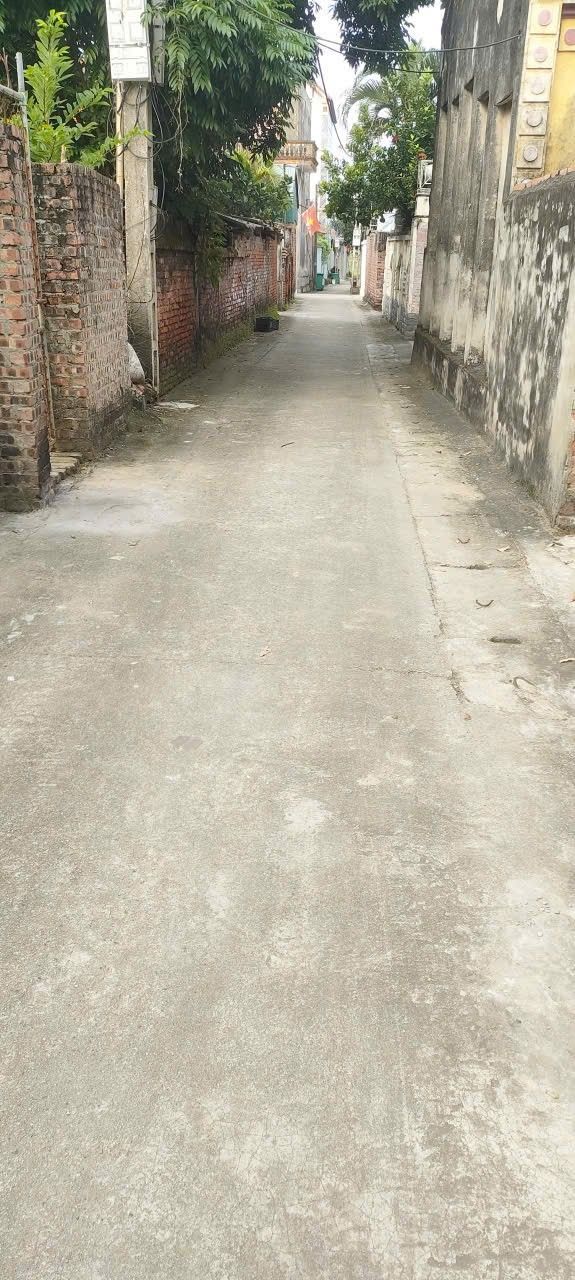 Đất Cửu Yên 100m² giá 2.3 tỷ - Đầu tư sinh lời gần Vành đai 4!