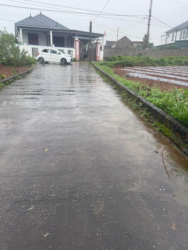 Đất nền thôn 6 Lý Trạch 8m² giá 590 triệu - Cơ hội đầu tư tuyệt vời!