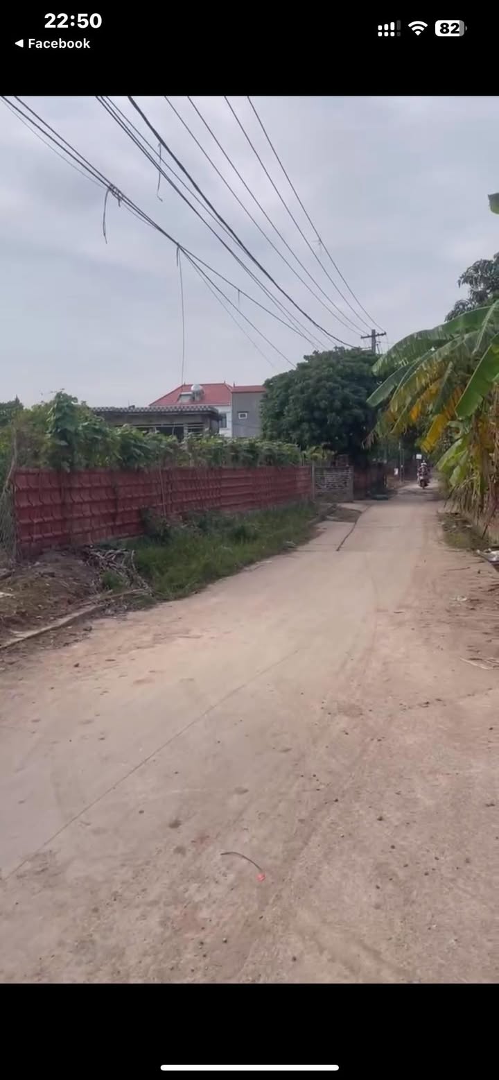 Đất thổ cư 1600m² tại Đông Tảo, Khoái Châu - Cơ hội đầu tư hấp dẫn!