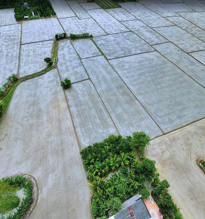 Đất nền Hòa Tịnh, Mang Thít, Vĩnh Long 1.951m² giá 580 triệu - Cần bán gấp!