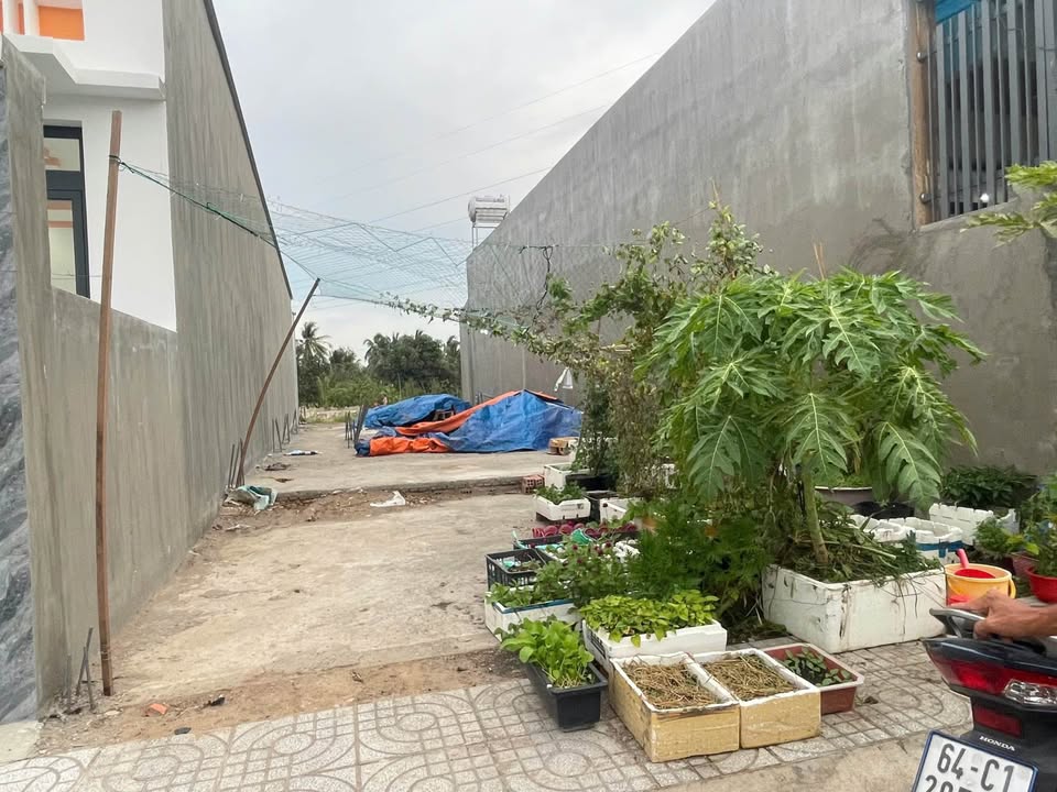 Đất nền 100m² Phường 8 Vĩnh Long giá 1.2 tỷ - Đổ sẵn móng xây nhà lầu!