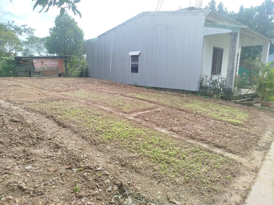 Đất nền phường Hòa Xuân, quận Cẩm Lệ, 115m² giá 2 tỷ - Địa điểm lý tưởng cho đầu tư!