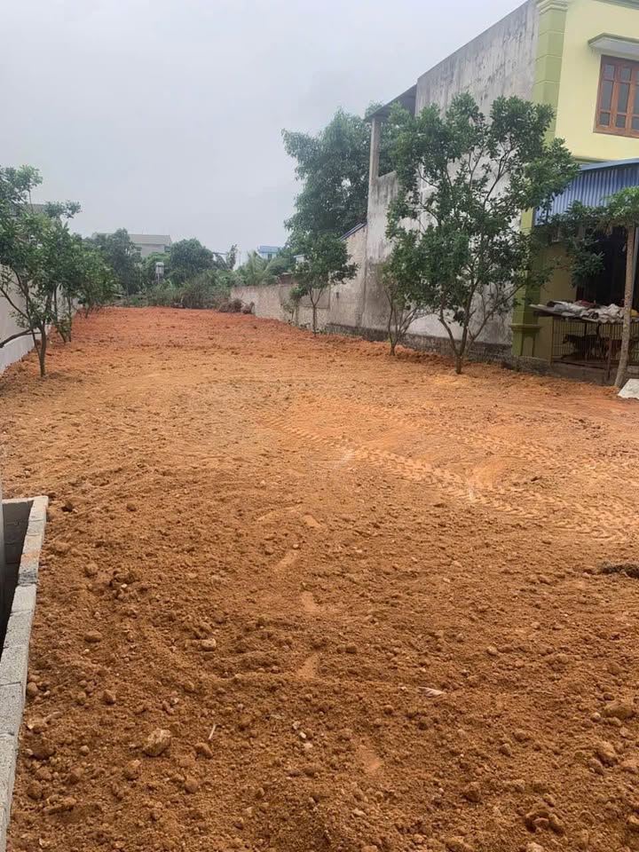 Đất thổ cư Phú Xá 520m² giá 3 tỷ - Đầu tư sinh lời tuyệt vời!