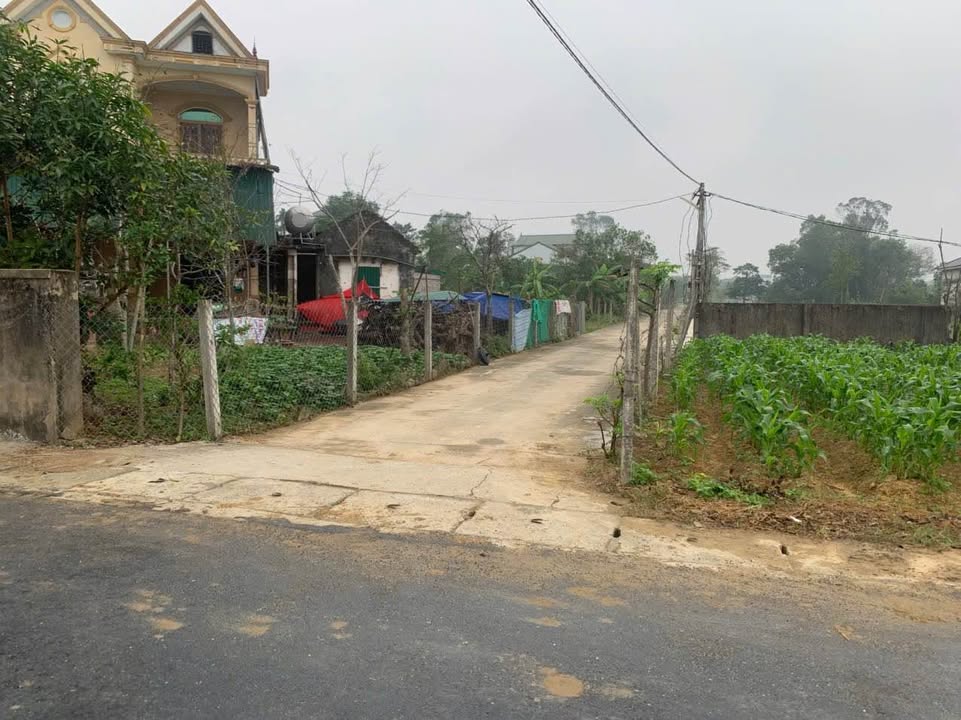 Đất nền Nghi Phong 117.6m² giá 2.5 tỷ - Vị trí thuận lợi gần Đại Học Vinh!