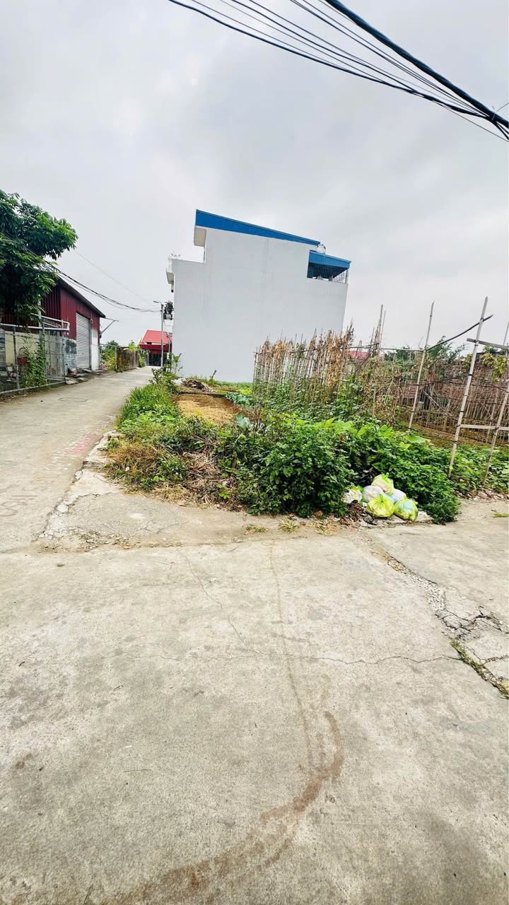 Đất Xích Thổ, An Dương 56m² giá 1.3 tỷ - Vị trí đắc địa, ô tô vào tận nơi!