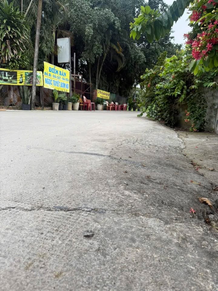 Đất thổ cư xã Mỹ Hạnh, Đức Hòa 125m² giá 890 triệu - Sổ hồng riêng chính chủ!