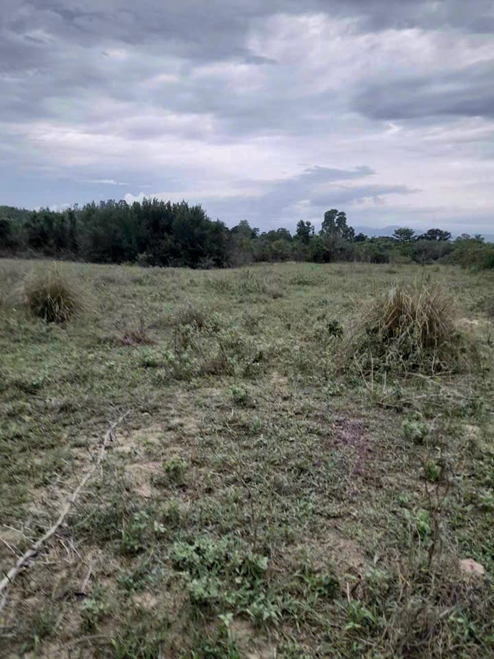 Đất nông nghiệp 2500m² tại Cam Phúc Bắc, Cam Ranh - Cơ hội đầu tư tuyệt vời!