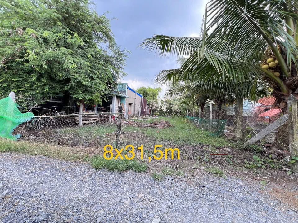 Đất nền Đức Hòa Long An 251.2m² giá 1.1 tỷ - Tiềm năng sinh lời cao!