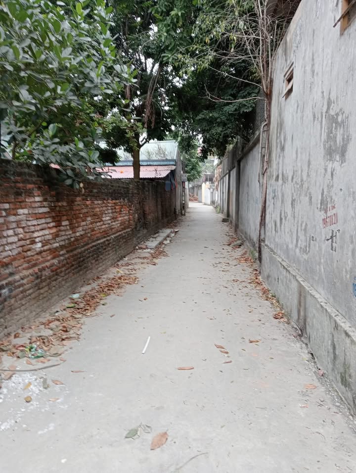 Đất nền đẹp tại phường Quế Võ, Bắc Ninh 90m² giá chỉ 1.3 tỷ - Cơ hội đầu tư tuyệt vời!