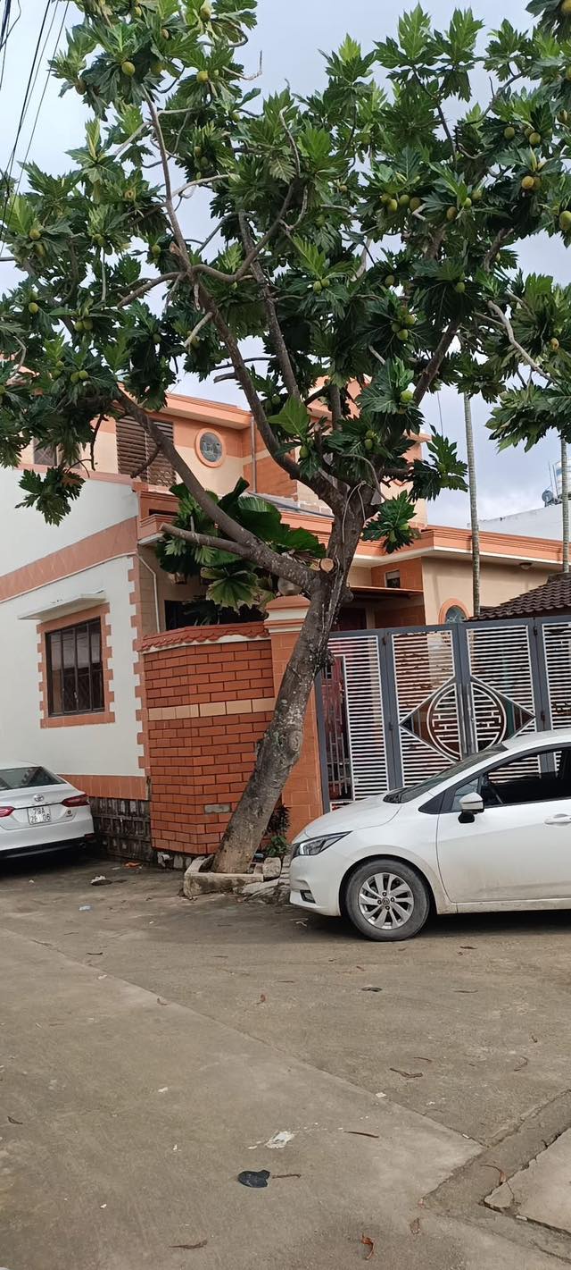 Biệt thự căn góc Phú Trung 132m² giá 9 triệu - Gần biển Yersin!