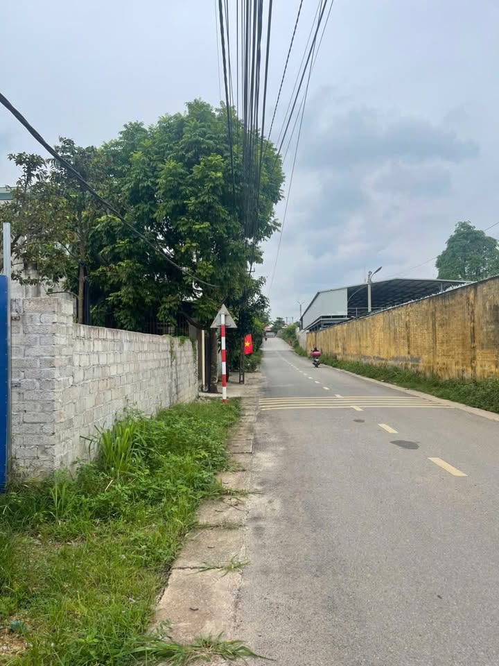 Đất nền phường Quyết Thắng 985m² giá 9 tỷ - Đầu tư sinh lời ngay!