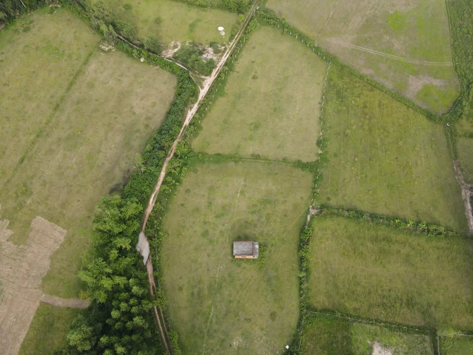 Đất Cát Tân Phù Cát 4000m² giá 900 triệu - Sổ đỏ chính chủ, view thoáng mát!