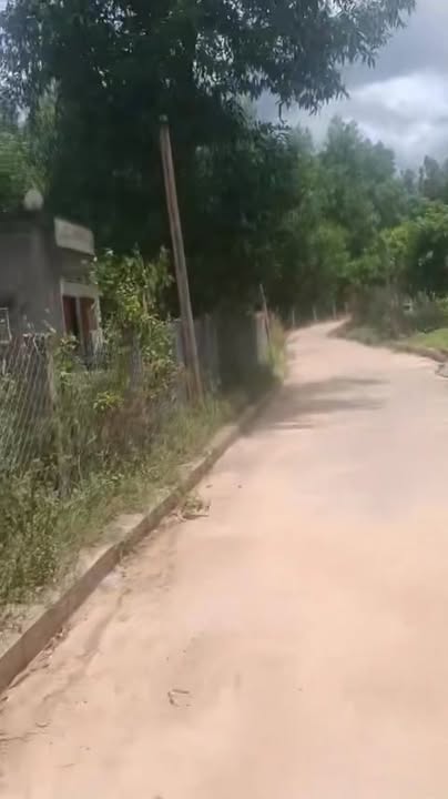 Đất thổ cư thôn Thanh Minh, xã Canh Hiển, 147m² giá 290 triệu - Cơ hội đầu tư tuyệt vời!