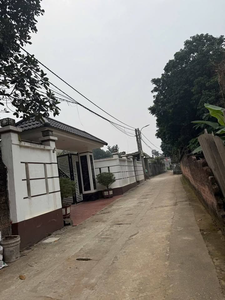 Đất nền Thanh Mỹ Sơn Tây 100m² giá 1.4 tỷ - Đường ô tô vào tận nơi!