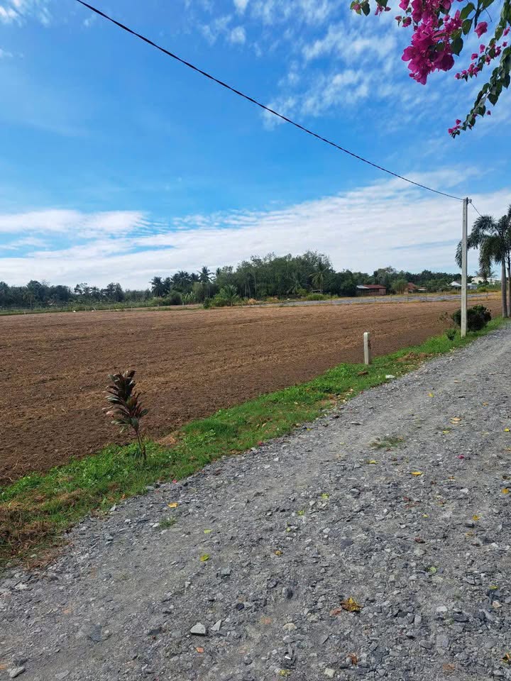 Đất nền Suối Dộp, Châu Thành 1200m² chỉ 240 triệu - Cơ hội đầu tư tuyệt vời!