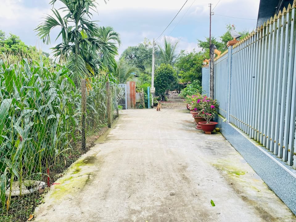 Đất nền Bảo Vinh Long Khánh 600m² giá 650 triệu - Sổ đỏ chính chủ sẵn!