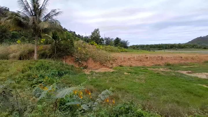 Đất thổ cư 1ha mặt đường DH 92, Cát Tiên, Lâm Đồng giá 3.15 tỷ - Cơ hội đầu tư tuyệt vời!