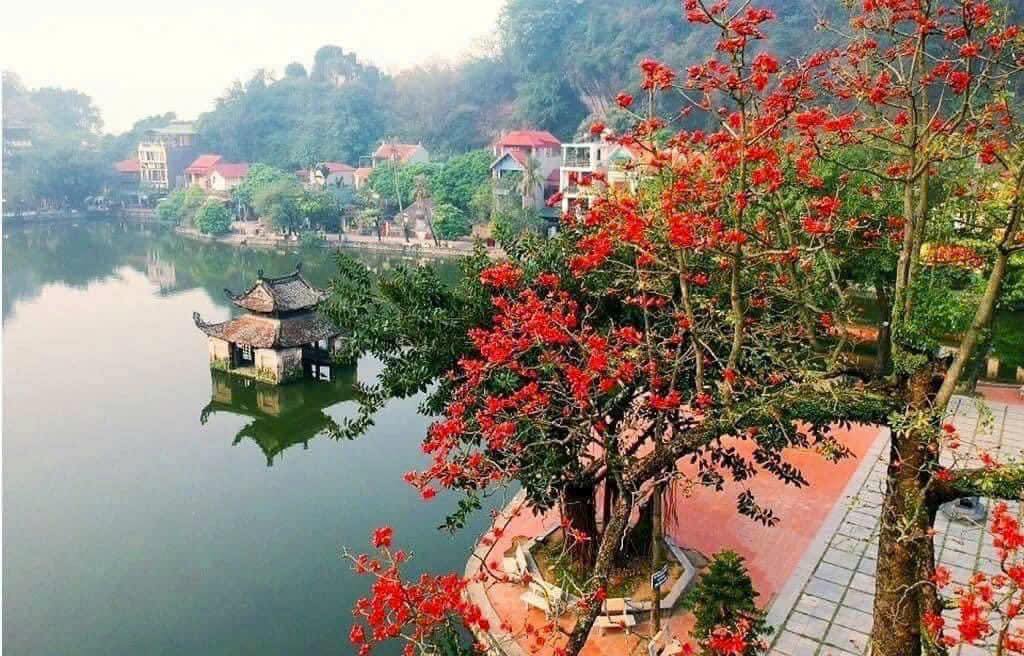 Đất nền Sài Sơn, Quốc Oai 88m² - Đường thông ô tô, tiềm năng đầu tư!