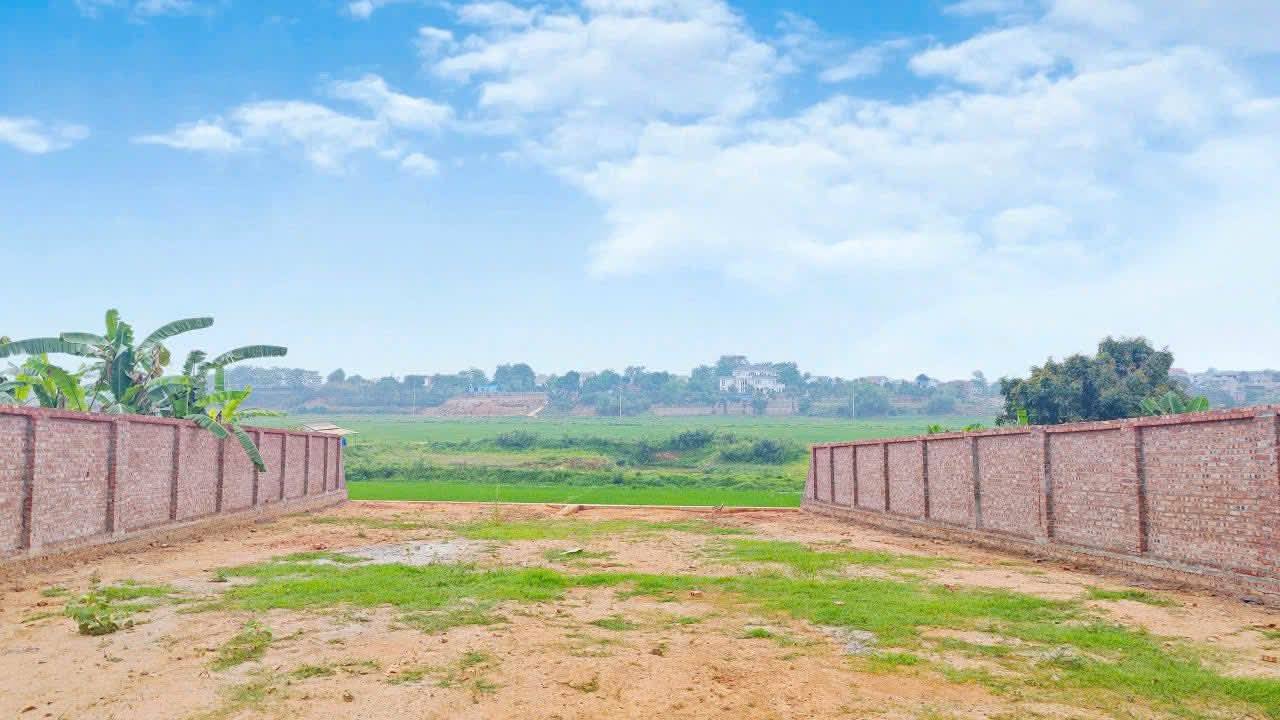 Đất xây dựng nghỉ dưỡng Phú Cát - Quốc Oai 598m² giá 6.58 tỷ - Cơ hội đầu tư lý tưởng!