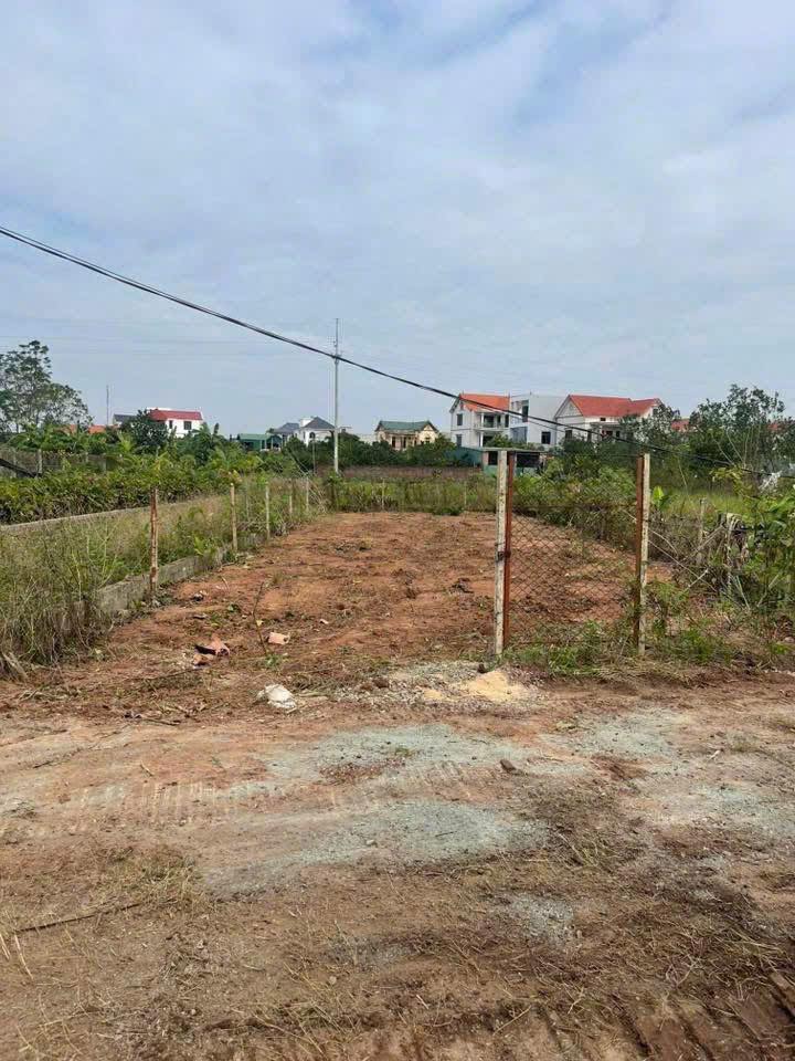 Đất vườn 168m² Sài Sơn, Quốc Oai - Không khí trong lành, pháp lý chuẩn!