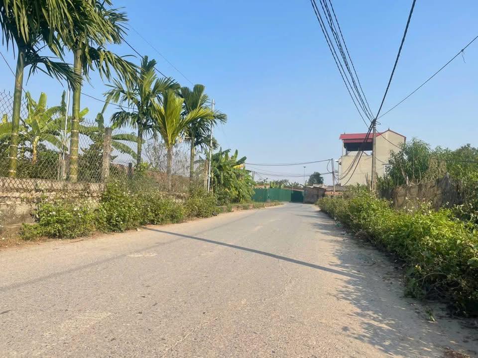 Đất vườn Sài Sơn Quốc Oai 400m² - Vị trí đắc địa, tiềm năng đầu tư cao!