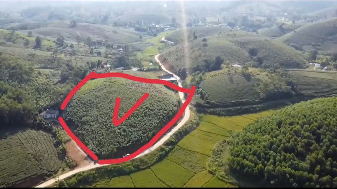 Đất thổ cư 1.500m² tại Mỹ Thuận, Tân Sơn - Mặt đường rộng 89m, giá chỉ 2 tỷ!