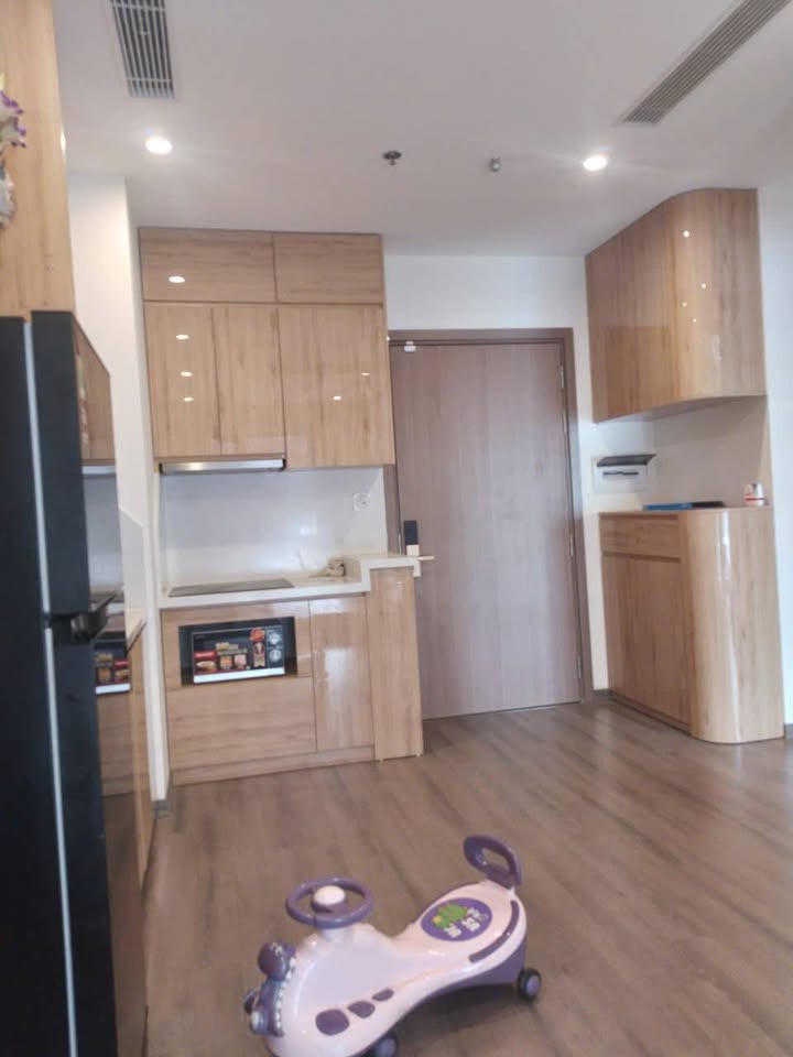 Căn hộ 1 phòng ngủ Chung cư Ruby Gia Lâm 45m² giá 3.375 tỷ - Sẵn khách thuê!