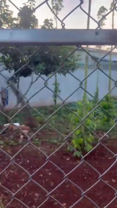 Farm cho thuê tại Bảo Bình, Cẩm Mỹ, Đồng Nai - Giá 50 triệu/năm, đầy đủ tiện nghi!