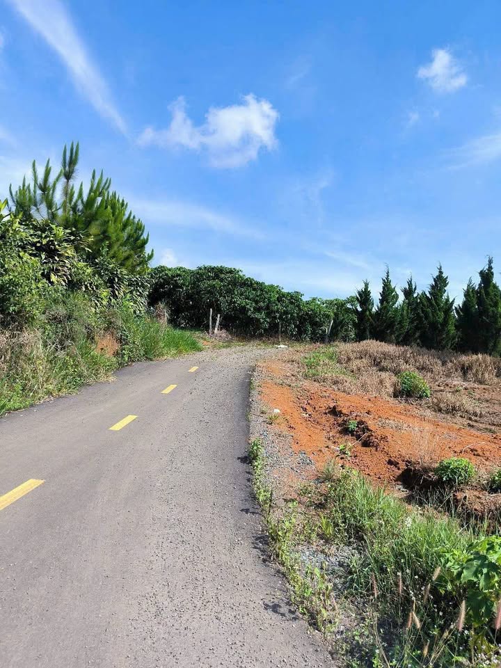 Đất nền Hồ Mai Thành Bảo Lộc 1260m² giá 3.2 tỷ - Đầu tư tiềm năng!