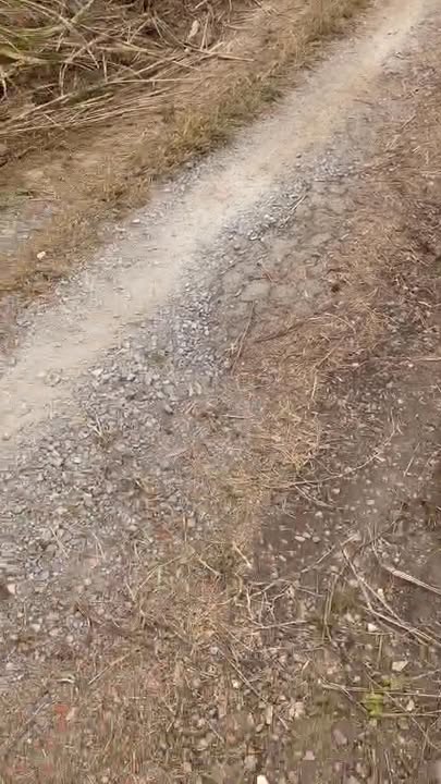 Đất đấu giá xã Mỹ Thành, Nam Định 100m² giá 1 tỷ - Vị trí đẹp, tiện ích xung quanh