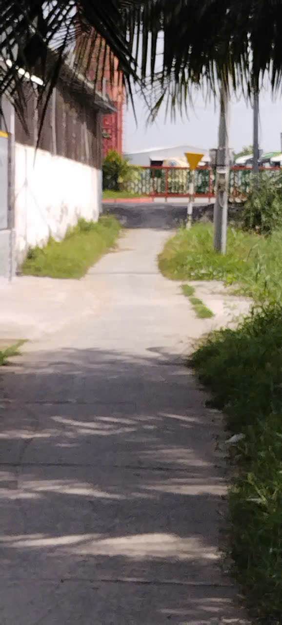 Đất chính chủ 117m² tại Ấp Sa Bình, Trà Vinh - Giá chỉ 450 triệu!