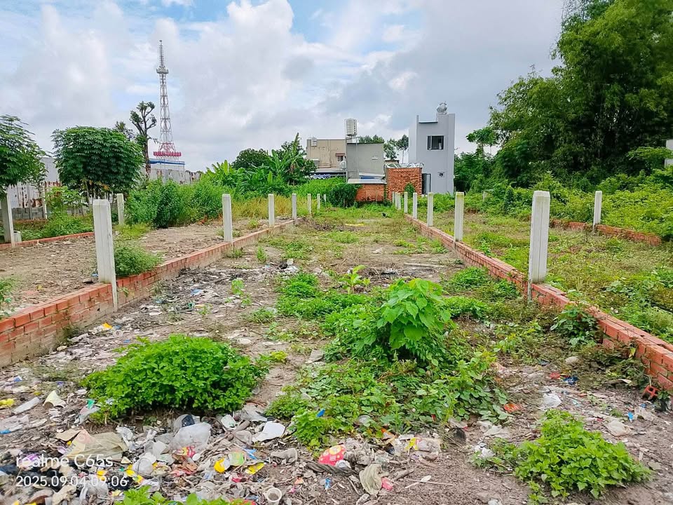 Đất thổ cư 98m² xã Trung Lập Hạ, Củ Chi - Giá chỉ 1 tỷ