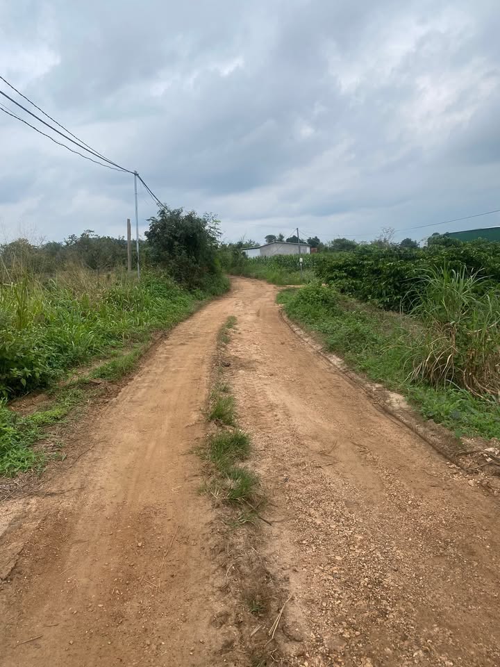 Farm diện tích 74.000m² tại Ea Kar, Đắk Lắk giá 1 tỷ - Đầu tư sinh lời ngay!