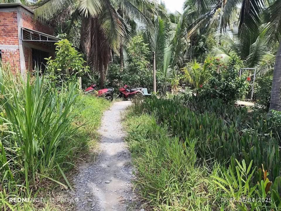 Đất nền Phước Mỹ, Mỏ Cày Bắc 500m² giá 290 triệu - Cơ hội đầu tư tuyệt vời!