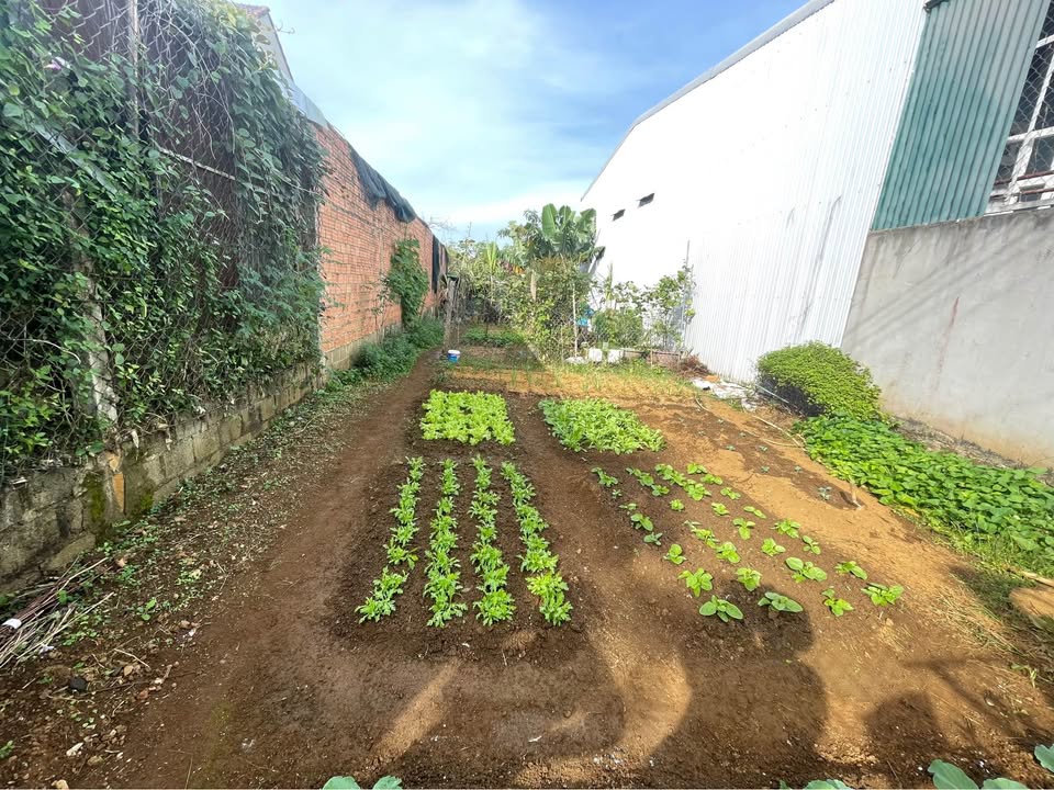 Lô đất Bảo Lộc 138m² giá 2.5 tỷ - Thế đất đẹp, giao thông thuận lợi!