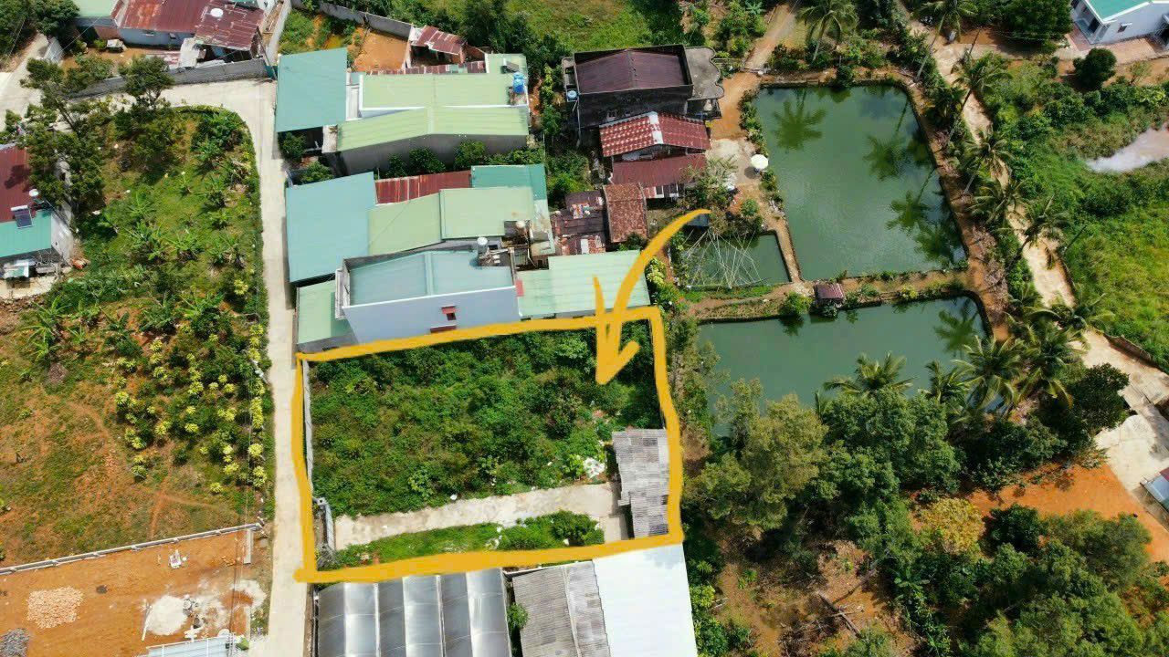 Đất nghỉ dưỡng B'Lao Bảo Lộc 792m² giá 3.9 tỷ - Cơ hội đầu tư lý tưởng!