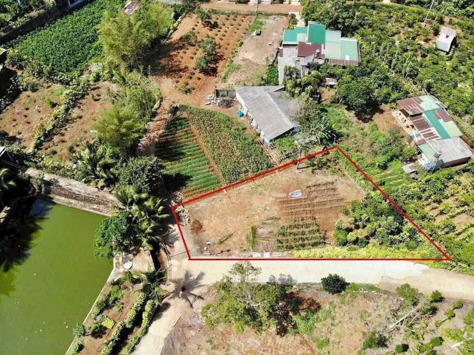 Đất nông nghiệp Bảo Lộc 739m² giá 1.3 tỷ - Thương lượng ngay!