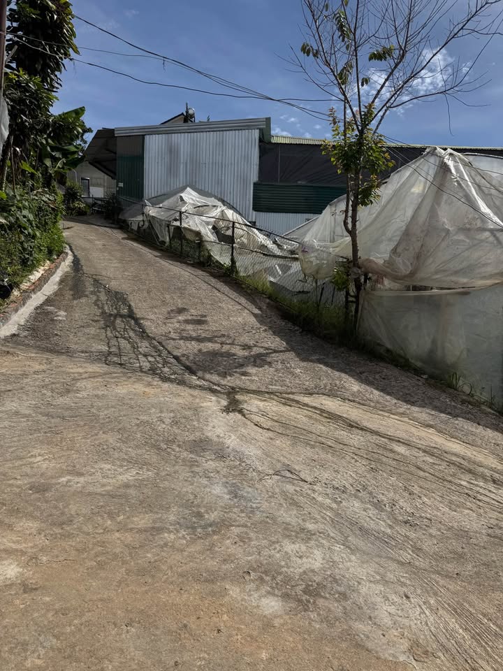 Đất nền Đồi Huy Hoàng Đà Lạt 1806m² giá 24 tỷ - Cơ hội đầu tư lý tưởng!