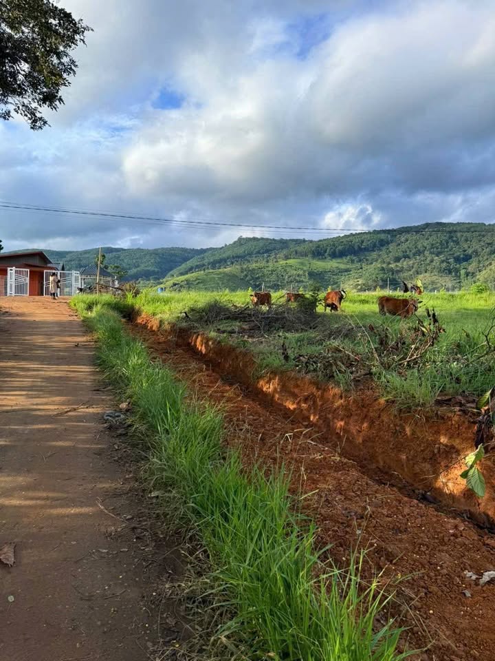 Lô đất Nam Ban 564m² giá 999 triệu - Phong thủy đẹp, đầu tư sinh lời!