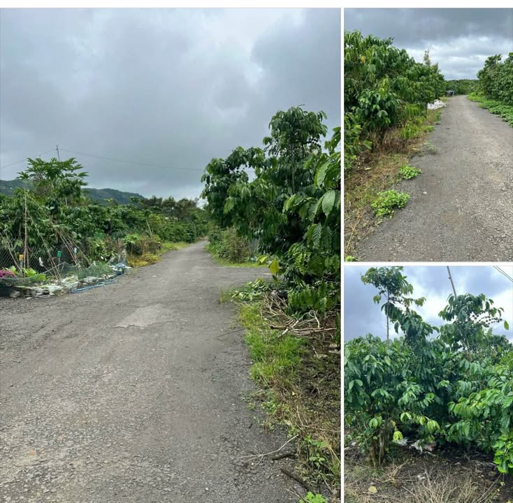 Đất Lộc Đức Bảo Lâm 20000m² giá 900 triệu - Đầu tư sinh lời ngay!