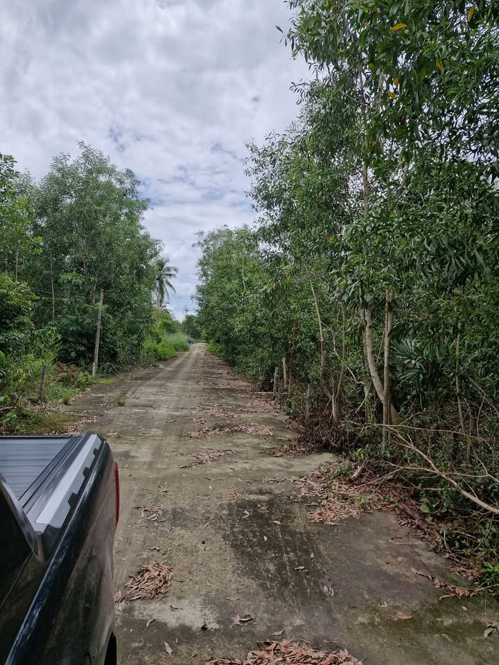 Đất nền Phú Quốc 500m² - Sổ đỏ chính chủ, giá đầu tư hấp dẫn!