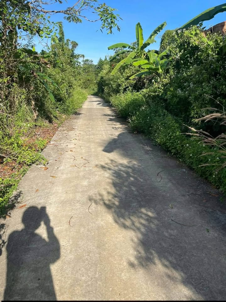 Đất trồng cây lâu năm tại xã Phú Tân, huyện Định Quán, 1000m² - Giá chỉ 370 triệu!