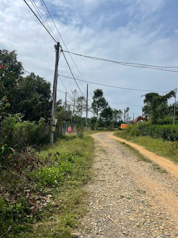 Đất nông nghiệp 4.000m² tại Phú An, Tân Phú, Đồng Nai - Giá chỉ 1,1 tỷ - Sẵn sàng cho thu hoạch!